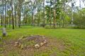 Property photo of 197 Hein Road Buccan QLD 4207