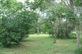 Property photo of 75 Nottage Road Bees Creek NT 0822