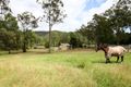 Property photo of 47 Kriedeman Road Upper Coomera QLD 4209
