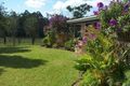 Property photo of 207 Minimbah Road Minimbah NSW 2312