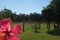 Property photo of 207 Minimbah Road Minimbah NSW 2312