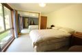 Property photo of 911 Nethercote Road Nethercote NSW 2549