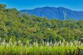 Property photo of 21 White Oak Avenue Mossman QLD 4873