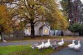 Property photo of 90 Mollison Street Malmsbury VIC 3446