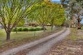 Property photo of 910 Torrens Valley Road Birdwood SA 5234