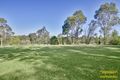 Property photo of 63 Shearwater Crescent Yarramundi NSW 2753