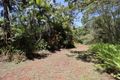 Property photo of 38 Mathers Road Malanda QLD 4885