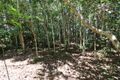 Property photo of 38 Mathers Road Malanda QLD 4885