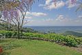 Property photo of LOT 3/163 Curtis Road Tamborine Mountain QLD 4272