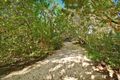 Property photo of 12 Driftwood Court Bokarina QLD 4575