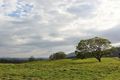 Property photo of 471-499 Aherns Road Conondale QLD 4552