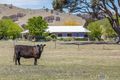 Property photo of 1291 Old Cooma Road Googong NSW 2620