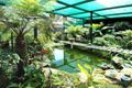 Property photo of 11 Isla Avenue Glenroy VIC 3046
