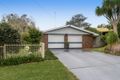 Property photo of 19 Palm Court Rangeville QLD 4350