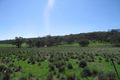 Property photo of 1074 Wild Cattle Flat Road Captains Flat NSW 2623