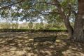 Property photo of 93 Meynink Road Hodgson Vale QLD 4352