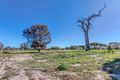 Property photo of 10 Greenhill Grove Cardup WA 6122