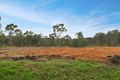 Property photo of 30-42 Purvines Road Yellow Rock NSW 2777