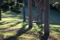 Property photo of 302 Upper Brookfield Road Upper Brookfield QLD 4069