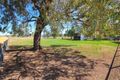 Property photo of 46 Mareeba Road Parkville NSW 2337