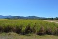 Property photo of 252 Kowari Gorge Road Finch Hatton QLD 4756