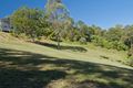 Property photo of 31 Ringtail Place Bli Bli QLD 4560