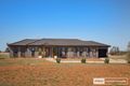 Property photo of 20 Horseshoe Place Moore Creek NSW 2340