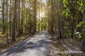Property photo of 48 Woola Road Taree NSW 2430