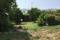 Property photo of 15 Cedar Street Killarney QLD 4373
