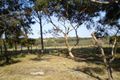 Property photo of 25 Kangaroo Way Nilgen WA 6044