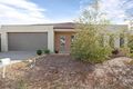 Property photo of 8 Circuit Drive Truganina VIC 3029