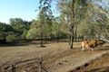 Property photo of 45 Skyline Drive Kholo QLD 4306