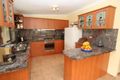 Property photo of 8 Bykool Avenue Kingsgrove NSW 2208