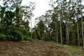 Property photo of 5/5 Wildwood Place Mooloolah Valley QLD 4553