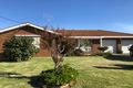 Property photo of 3 Druitt Court Finley NSW 2713