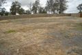 Property photo of 5 Oceanis Drive Oxenford QLD 4210