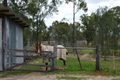 Property photo of 76 Roche Creek Road Wandoan QLD 4419