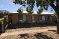 Property photo of 43A Glaneuse Avenue Torquay VIC 3228