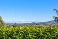 Property photo of 1/70 Greta Street Gerringong NSW 2534