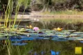 Property photo of 15 Shellcott Road Yanakie VIC 3960