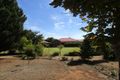 Property photo of 212 McKenzie Road Loveday SA 5345