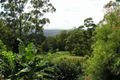 Property photo of 449 Mount Nimmel Road Austinville QLD 4213