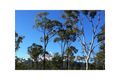 Property photo of 254 Granitevale Road Alice River QLD 4817