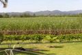Property photo of 21 Pollard Road Babinda QLD 4861