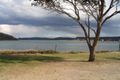 Property photo of 1/346 Ocean View Road Ettalong Beach NSW 2257