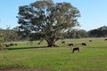 Property photo of 91 Marland Road Barkly VIC 3384