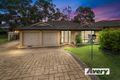 Property photo of 3 Peppertree Circuit Toronto NSW 2283