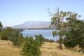 Property photo of 37 Lamprill Circle Herdsmans Cove TAS 7030
