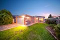Property photo of 3 Quail Court Narre Warren South VIC 3805