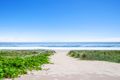 Property photo of 4/1425 Gold Coast Highway Palm Beach QLD 4221